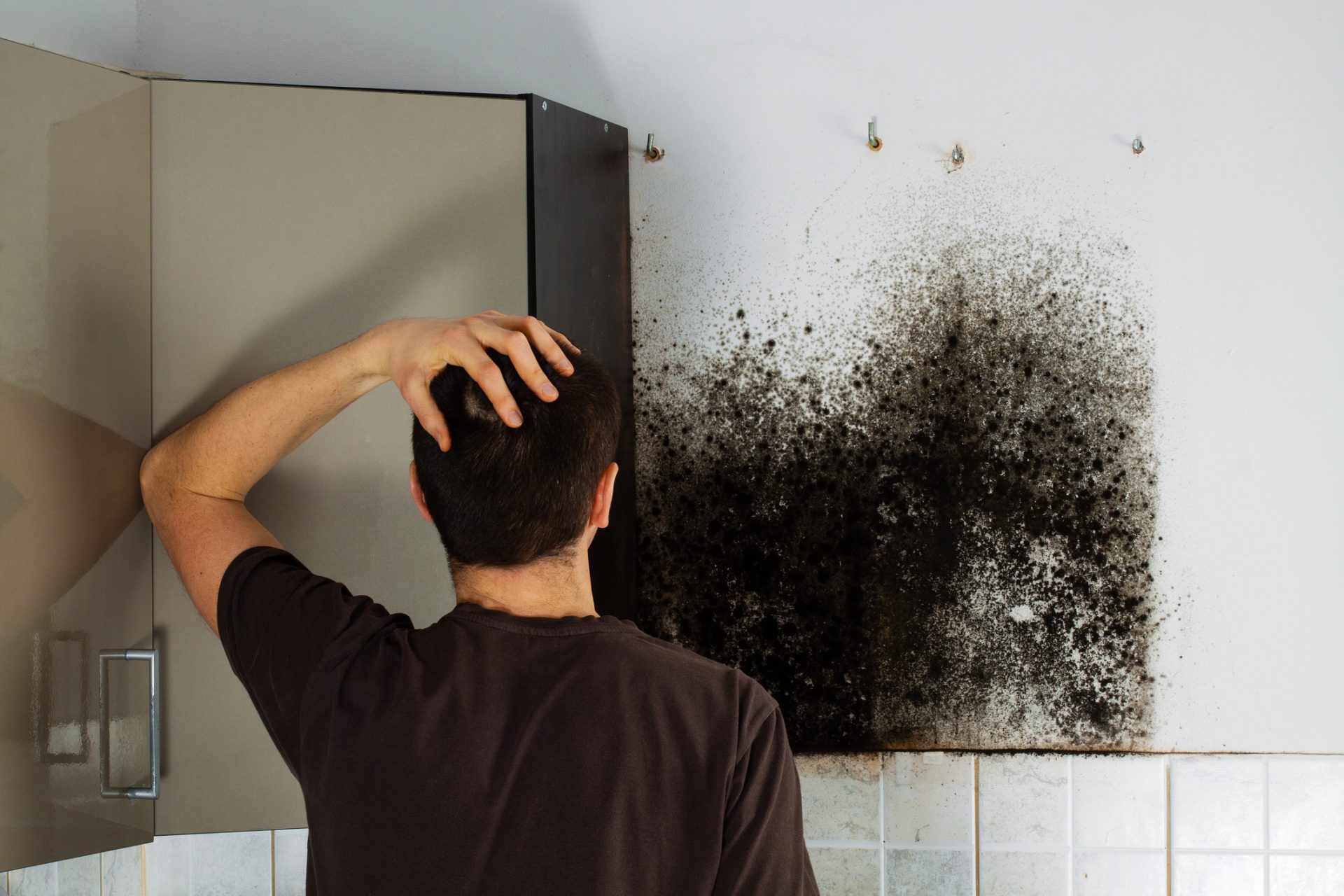 Chronic inflammatory response (cirs) is caused from exposure to mold in water damaged buildings