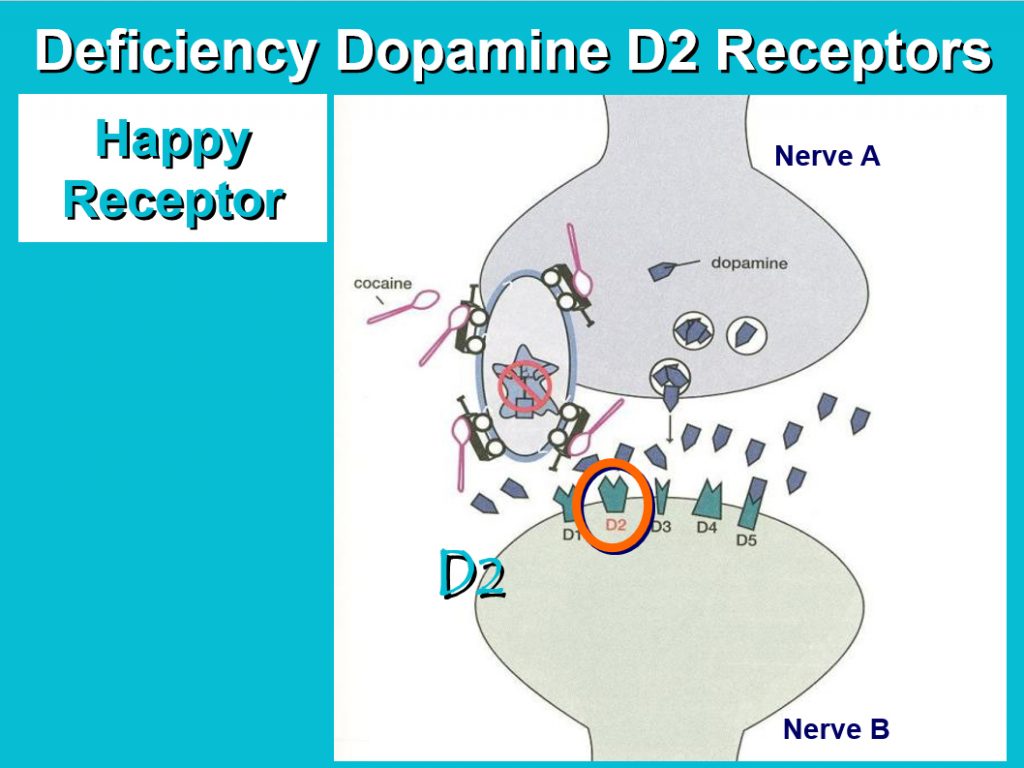 Dopamine-receptors