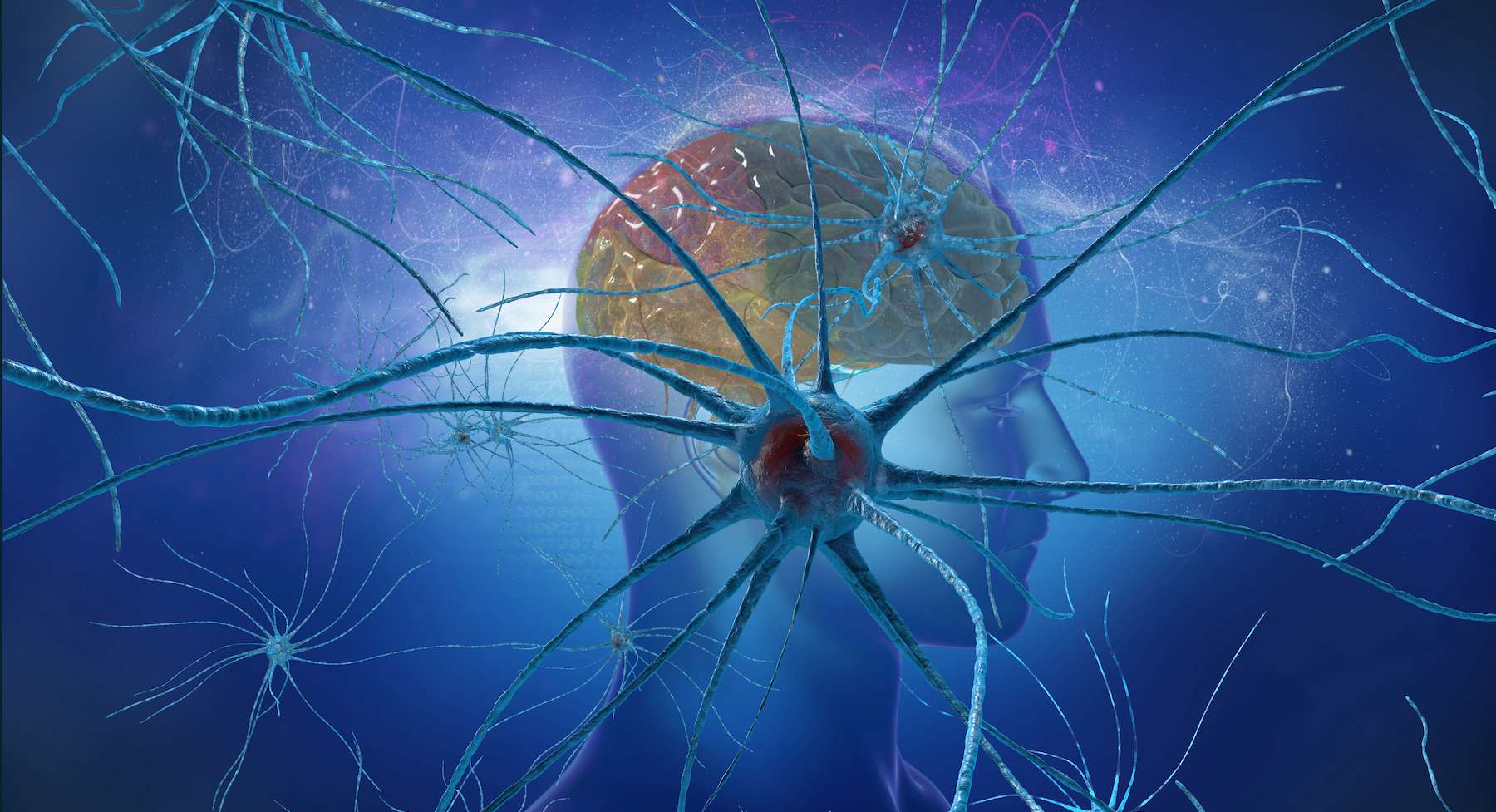 3d illustration neurons cell brain on science background.