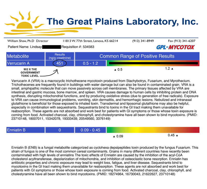 Mold toxicity testing provided by great plains lab testing