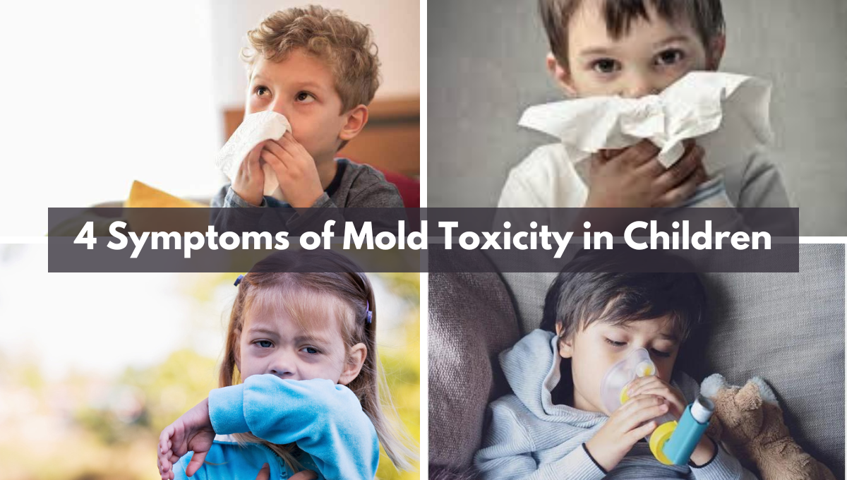 Symptoms of mold toxicity in children