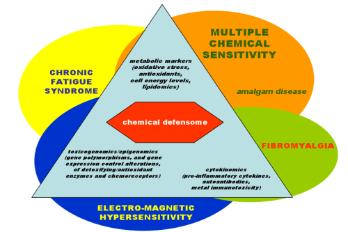 Multiple chemical sensitivity diagram