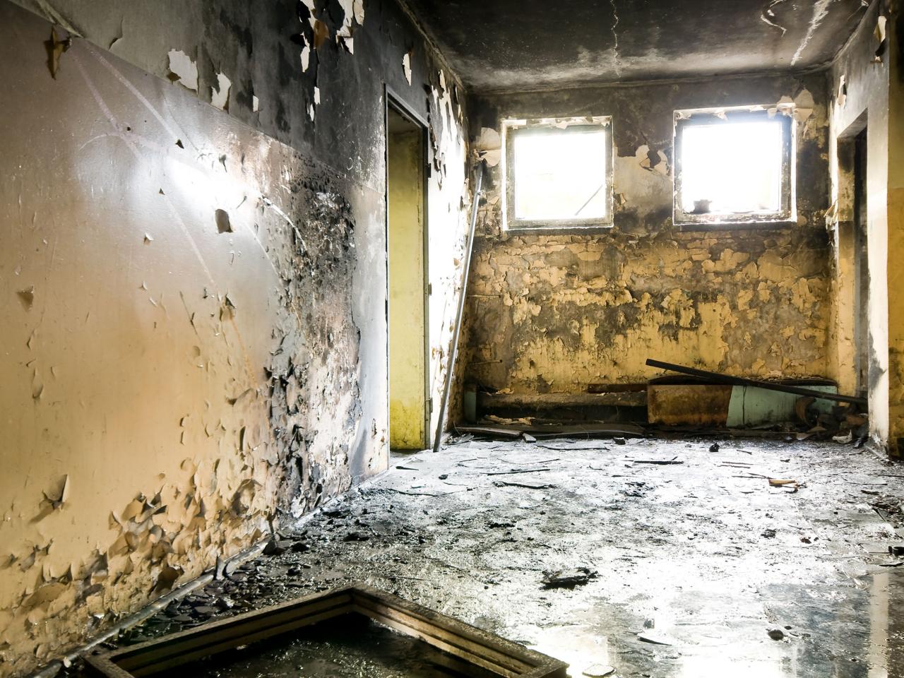 What are the symptoms of exposure to toxic black mold?